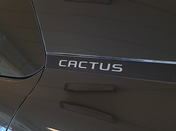 Citroen C4 Cactus 28 of 30