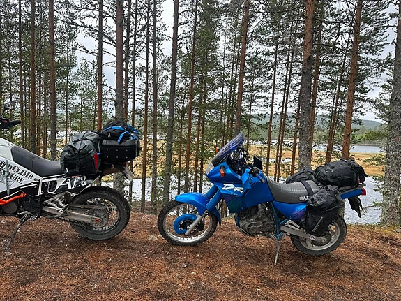 Suzuki DR 650 16 of 18
