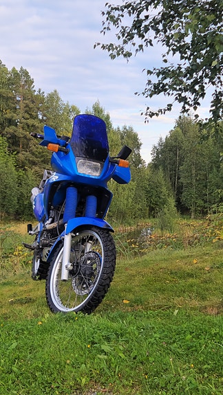 Suzuki DR 650 2 of 18