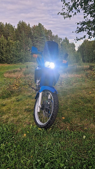 Suzuki DR 650 11 of 18