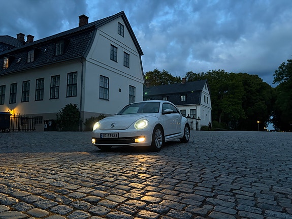 Volkswagen Beetle 3 of 8