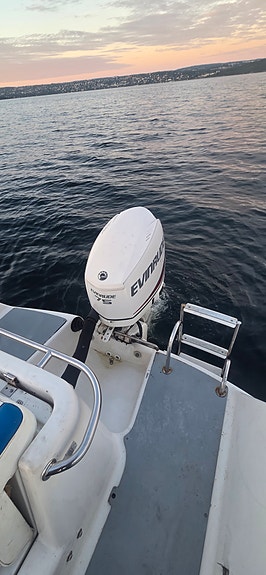 Quicksilver Commander 500 med E-TEC 75 hk (2017) +  henger. Høstpris! 7 of 14