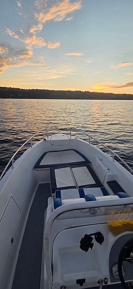 Quicksilver Commander 500 med E-TEC 75 hk (2017) +  henger. Høstpris! 10 of 14