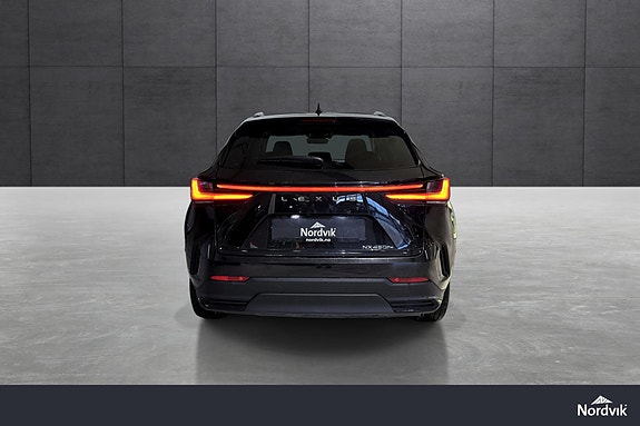 Lexus NX450h 5 of 24