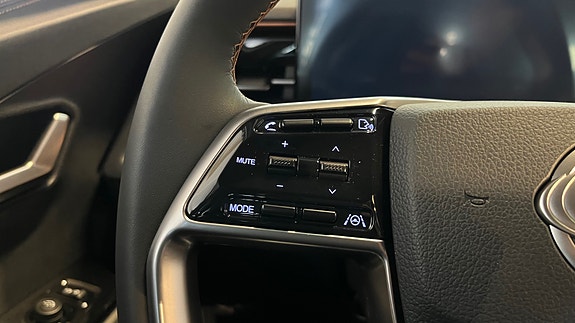 KGM Torres EVX 19 of 30