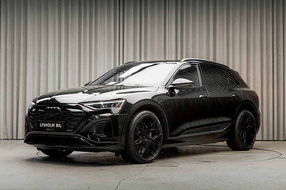 Audi Q8 e-tron 8 of 30