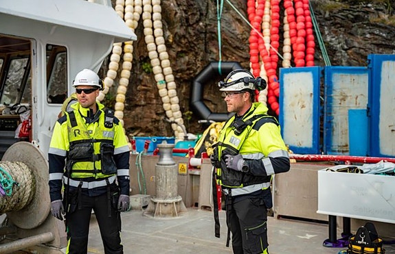Bilde 1 av 3 i jobbannonse-galleriet