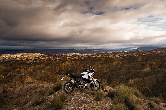 Ducati DesertX V2 14 of 18