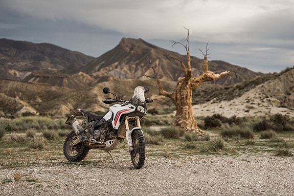 Ducati DesertX V2 5 of 18