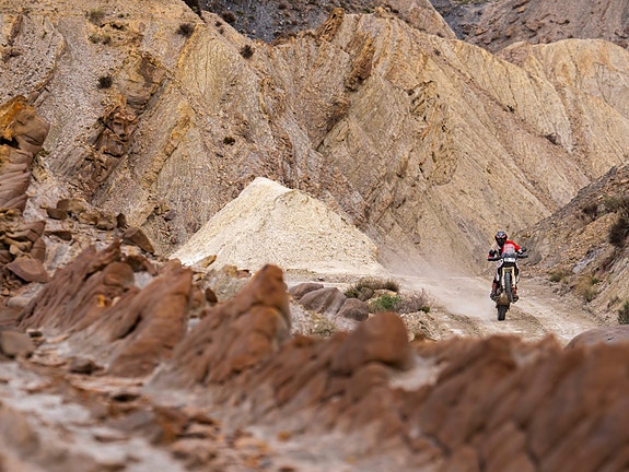 Ducati DesertX V2 9 of 18