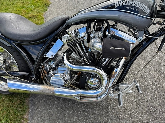 Harley-Davidson Godfather Custom (Zodiac) 4 of 8