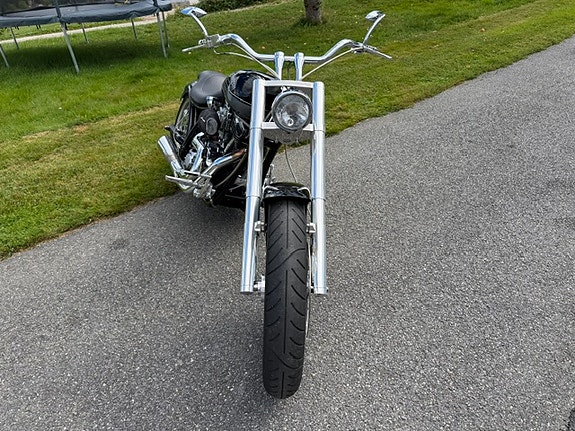 Harley-Davidson Godfather Custom (Zodiac) 2 of 8