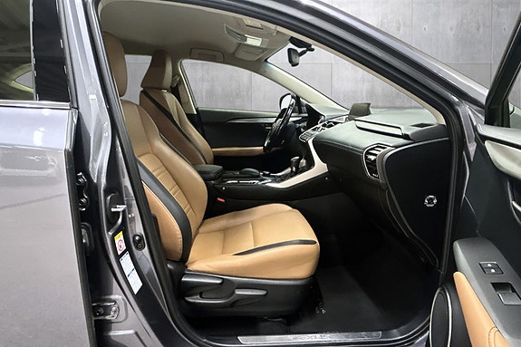 Lexus NX300h 14 of 25