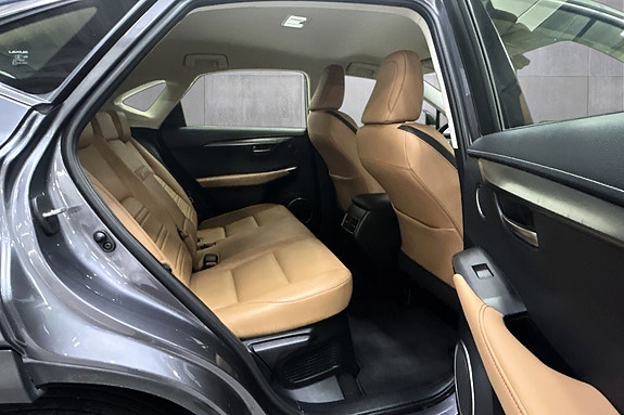 Lexus NX300h 16 of 25