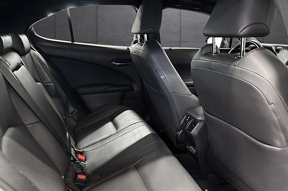 Lexus UX300e 17 of 22