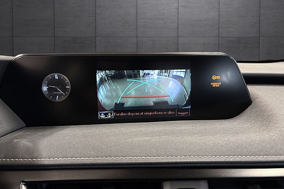 Lexus UX300e 21 of 22