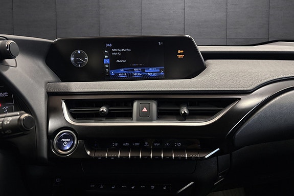 Lexus UX300e 14 of 22
