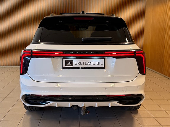 Hongqi E-HS9 5 of 30