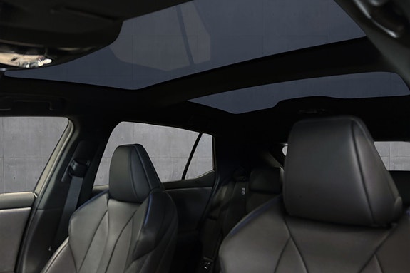 Lexus RZ550e 20 of 30