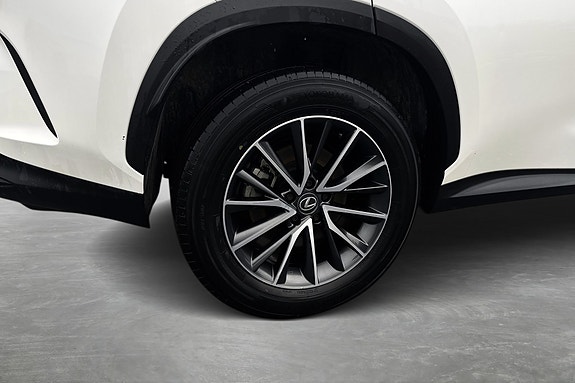 Lexus NX450h 8 of 30