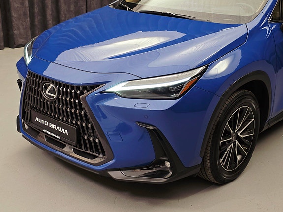 Lexus NX450h 14 of 30