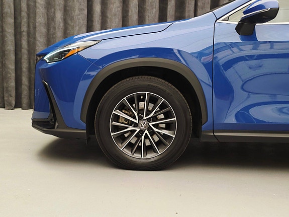 Lexus NX450h 15 of 30