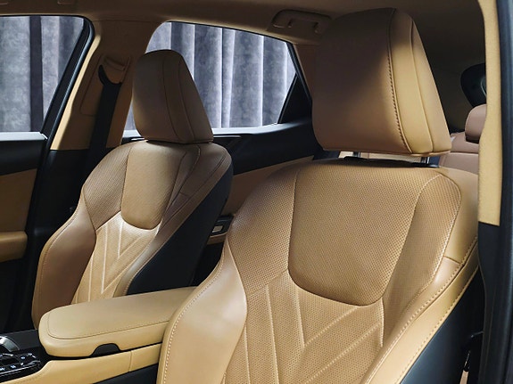 Lexus NX450h 21 of 30