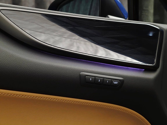 Lexus NX450h 18 of 30