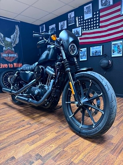 Harley-Davidson XL 883N Iron 2 of 17