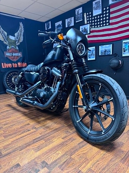Harley-Davidson XL 883N Iron 17 of 17