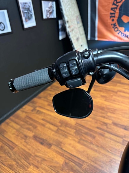 Harley-Davidson XL 883N Iron 7 of 17
