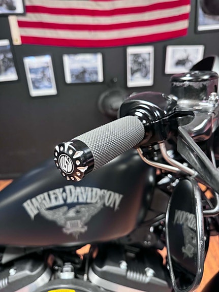 Harley-Davidson XL 883N Iron 9 of 17