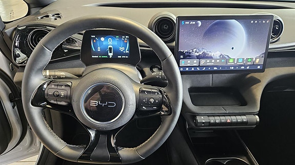BYD Dolphin 14 of 30