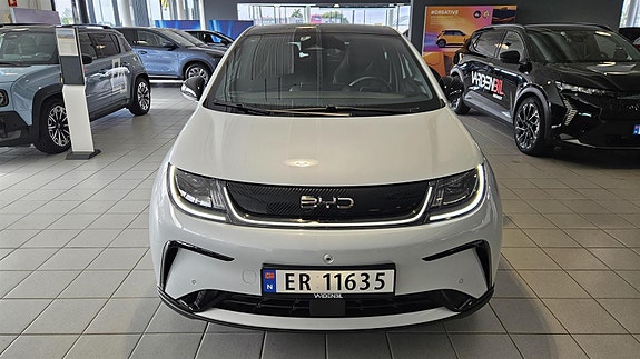 BYD Dolphin 2 of 30