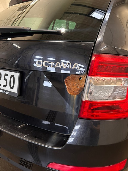 Skoda Octavia 10 of 13