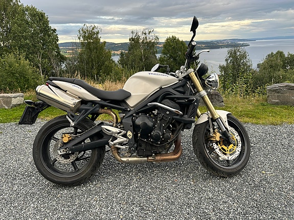 Triumph Street Triple 675 R 4 of 22
