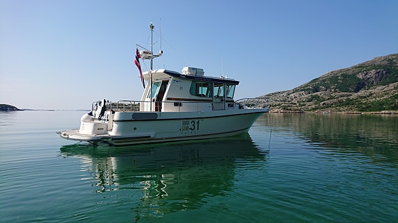 Nord Star 31 Patrol med Volvo Penta D6 2 of 30