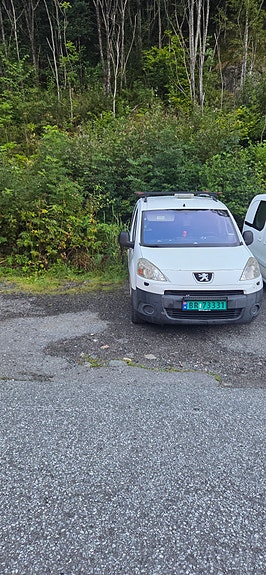 Peugeot Partner 2 of 3