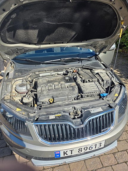 Skoda Octavia 12 of 17