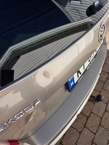 Skoda Octavia 15 of 17