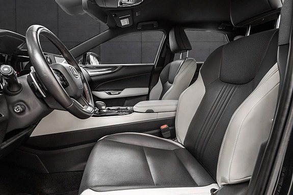Lexus NX450h 10 of 26