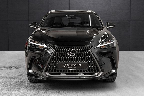 Lexus NX450h 8 of 26
