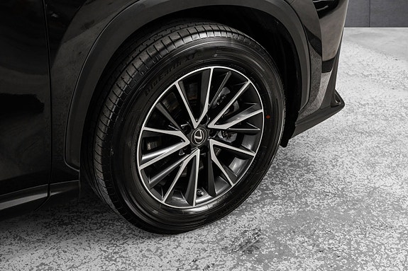 Lexus NX450h 9 of 26