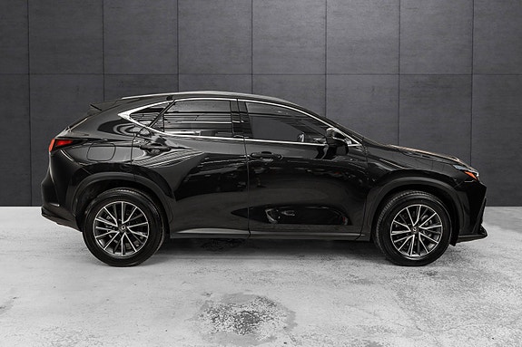 Lexus NX450h 6 of 26