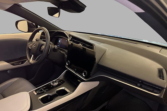 Lexus RZ450e 10 of 24