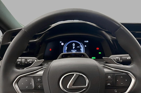 Lexus RZ450e 13 of 21