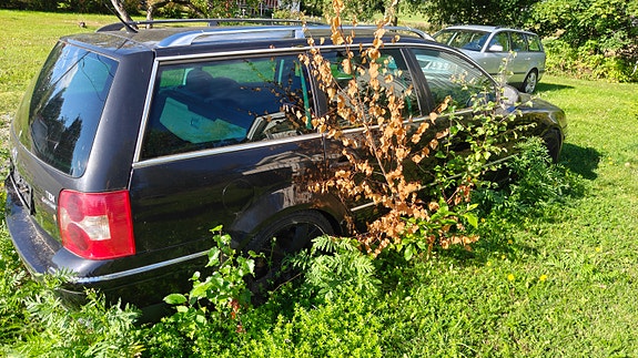 Volkswagen Passat 2 of 7