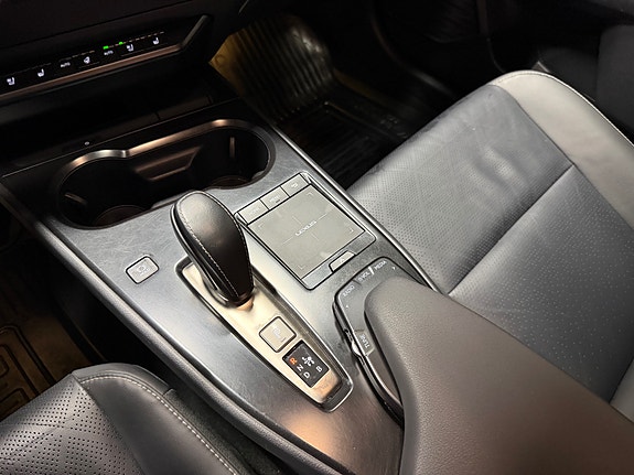 Lexus UX300e 21 of 26