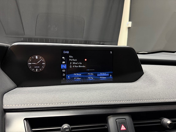 Lexus UX300e 15 of 26