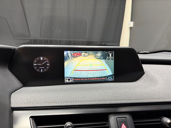 Lexus UX300e 19 of 26